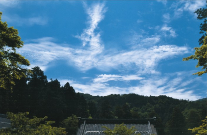 鳳凰・飛来