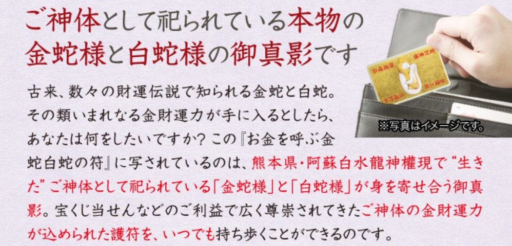 お金を呼ぶ金蛇白蛇の符使用イメージ