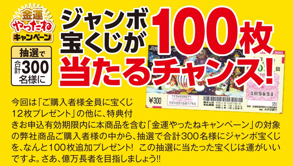 ジャンボ宝くじ100枚