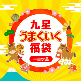 九星うまくいく福袋