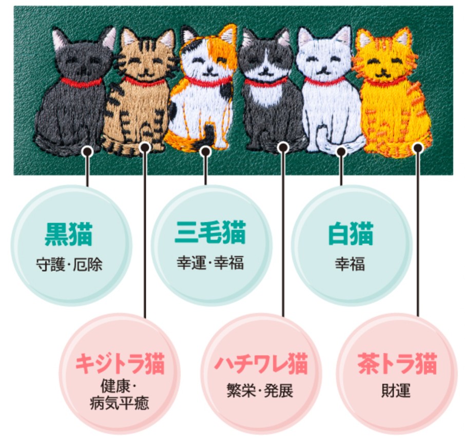 六匹の子猫