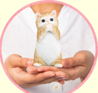 手のひらに乗る金運を願う子猫