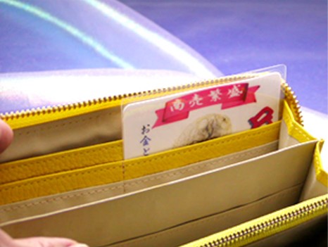 本物の蛇の抜け殻の使用イメージ