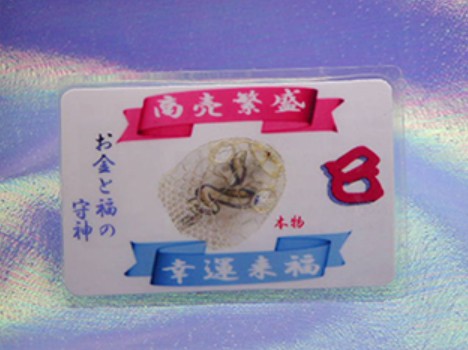 本物の蛇の抜け殻