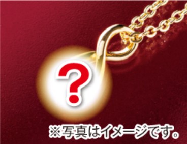 秘密のアクセサリープレゼント