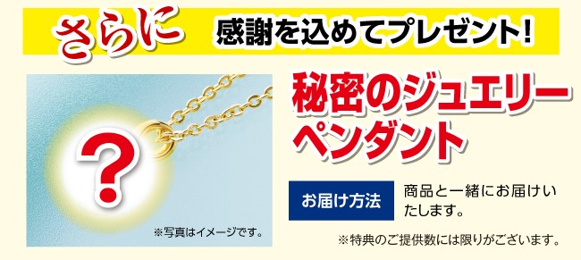 秘密のジュエリーペンダント