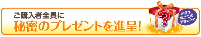 秘密のプレゼント