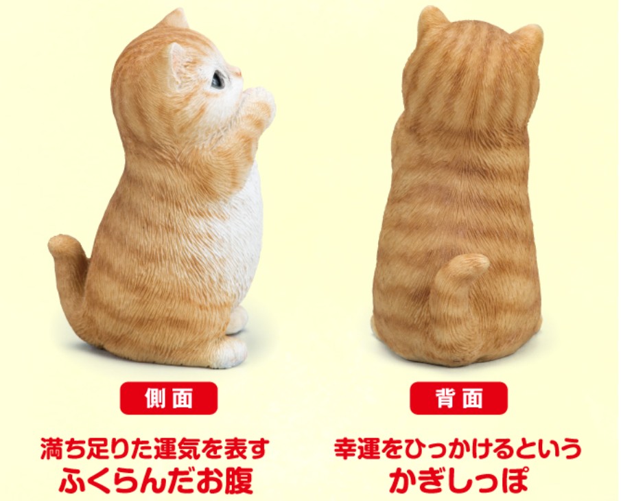 茶トラ猫の側面背面