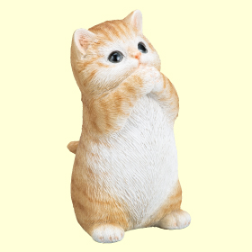 金運を願う子猫（茶トラ）