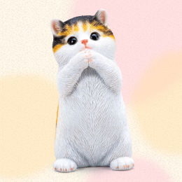 金運を願う子猫